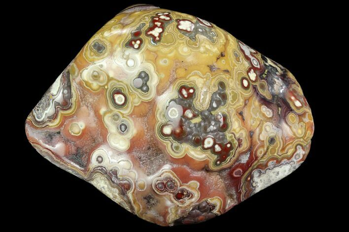 4.4" Polished Lace Agate Section - Chihuahua, Mexico